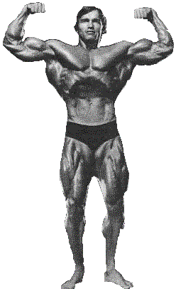 Arnold, the perfect human speciman